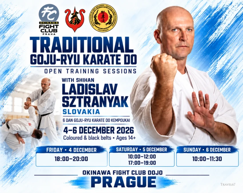 Traditional Goju-Ryu Karate-Do open training sessions