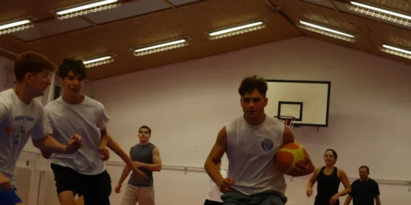 Goju kosár 2026
